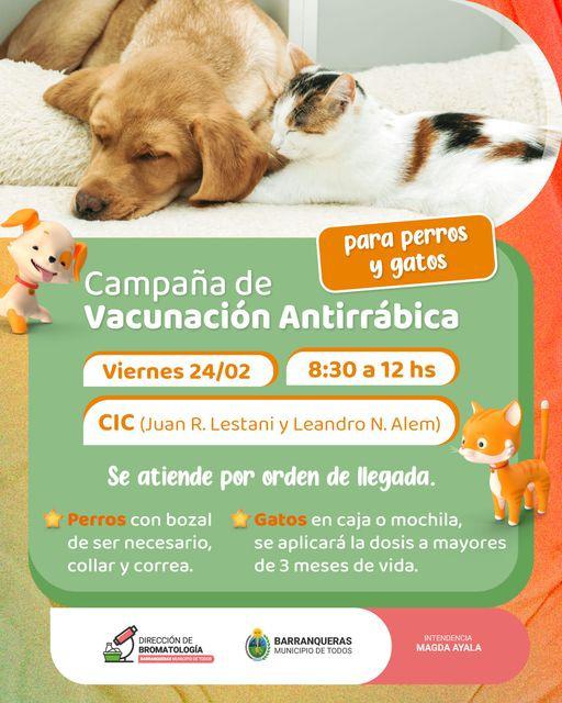 WhatsApp Image 2023-02-22 at 11.55.55