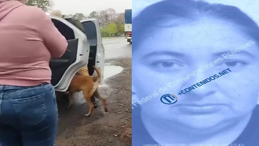 456650311_441566148907409_1414765280650943909_n