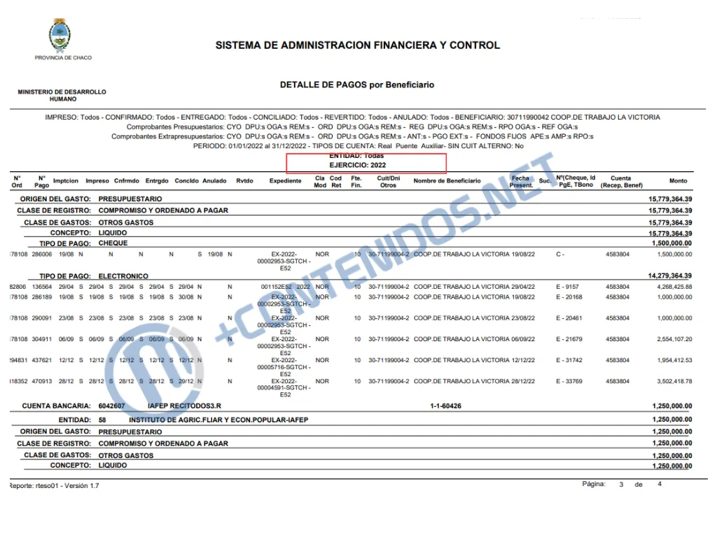 Presentación (43) (6)