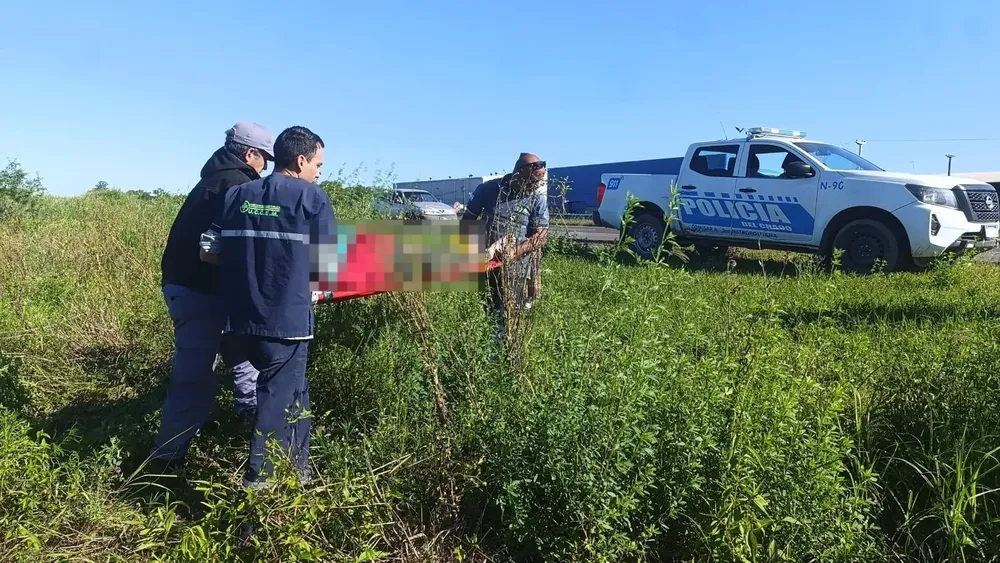 WhatsApp Image 2025-10-19 at 18.39.17