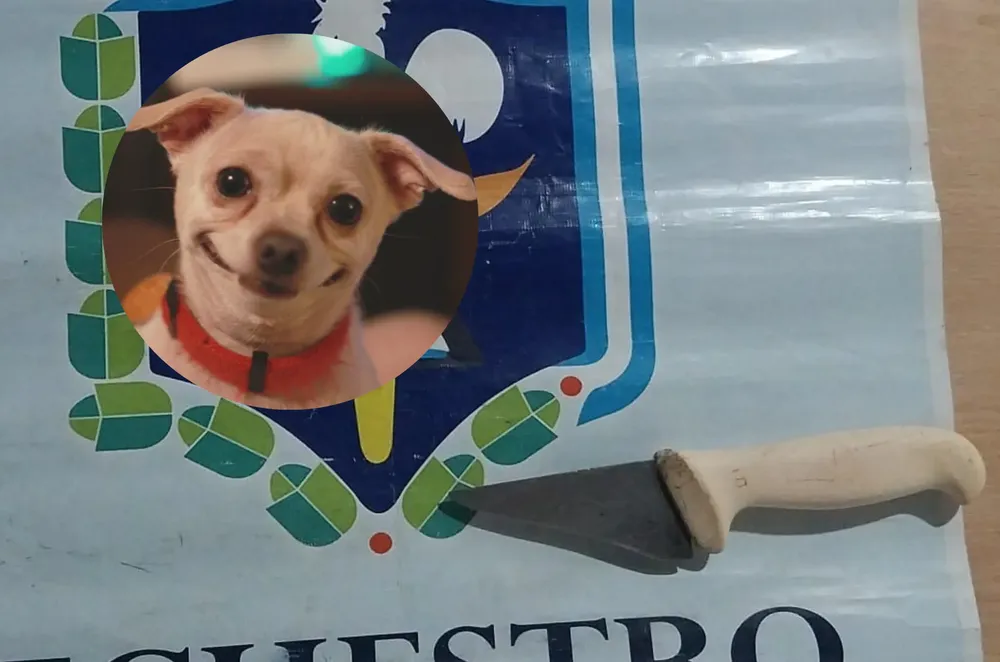 Imagen con circulos (1)