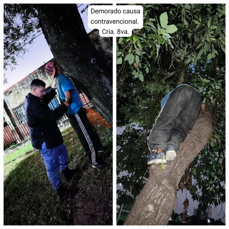 Imagen de WhatsApp 2025-04-17 a las 10.54.15_d24528dc