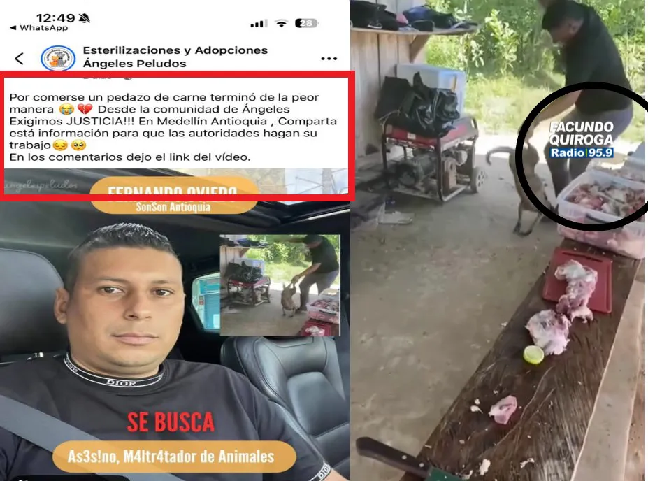 Sin título