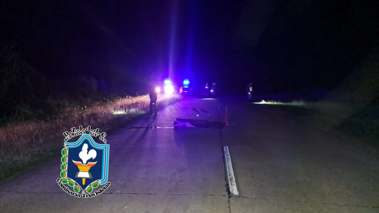 WhatsApp Image 2025-11-24 at 08.13.04