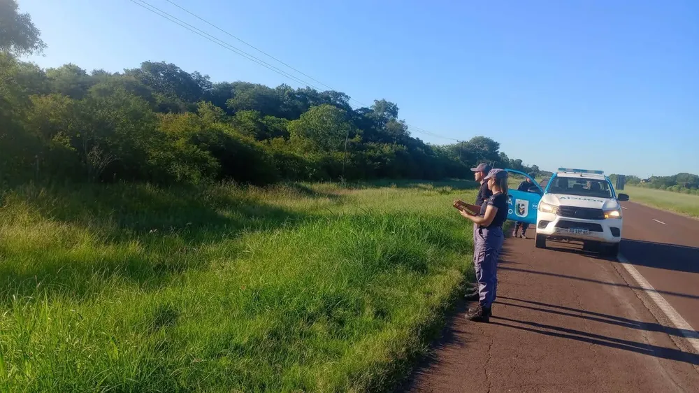 WhatsApp Image 2026-01-04 at 19.00.21