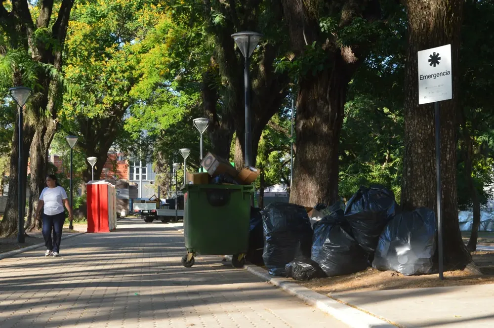 WhatsApp Image 2025-02-03 at 15.40.03