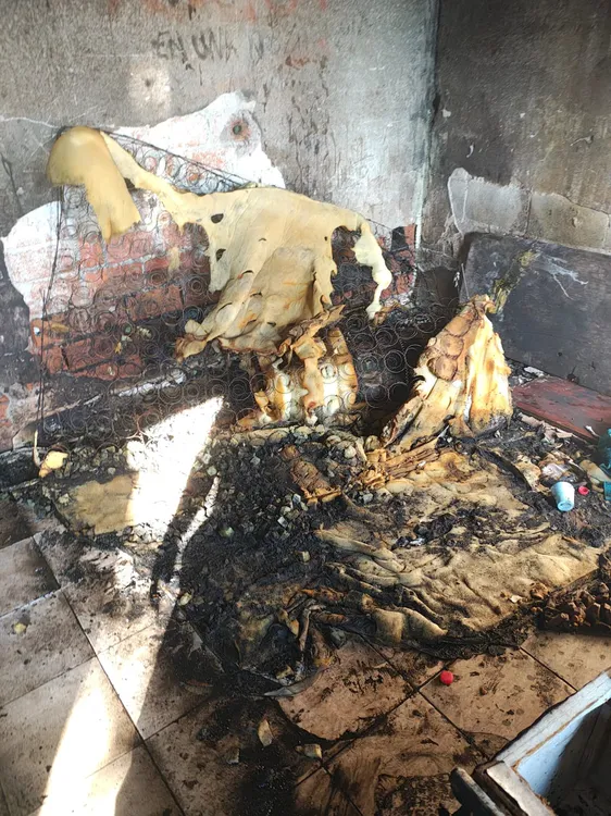 WhatsApp Image 2026-03-10 at 10.26.39