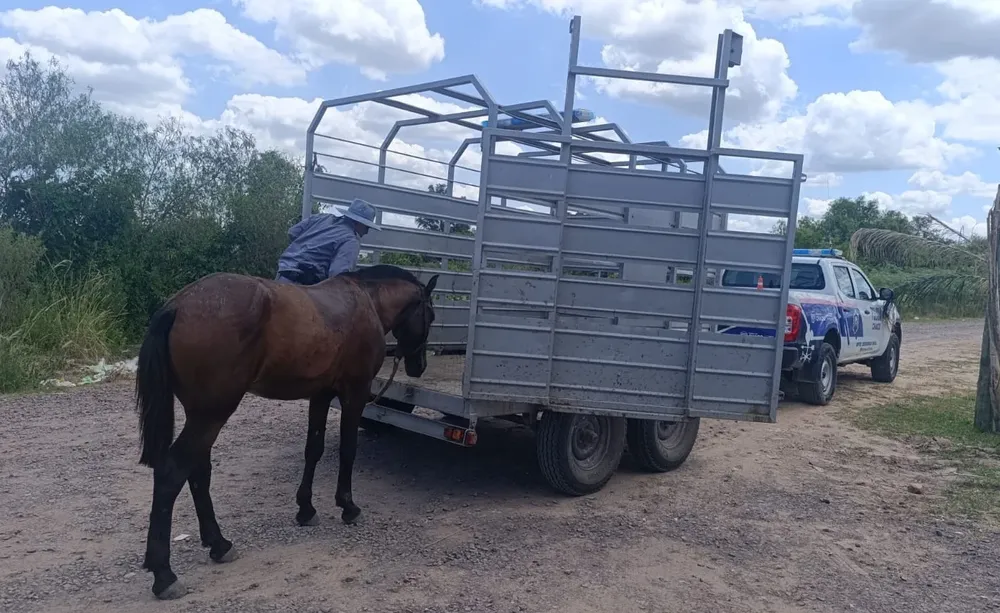 WhatsApp Image 2026-02-14 at 17.31.09 (1)