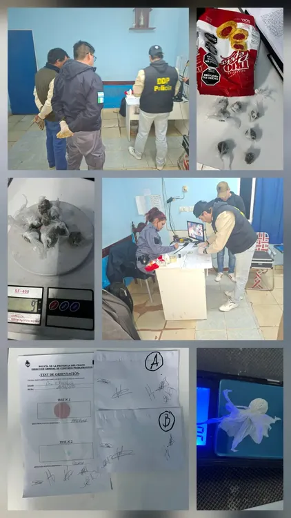 WhatsApp Image 2025-08-15 at 07.31.10