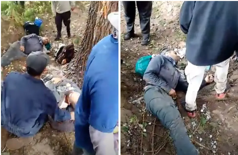 Captura de pantalla 2025-01-28 202738