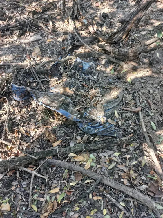 WhatsApp Image 2024-07-01 at 16.41.00