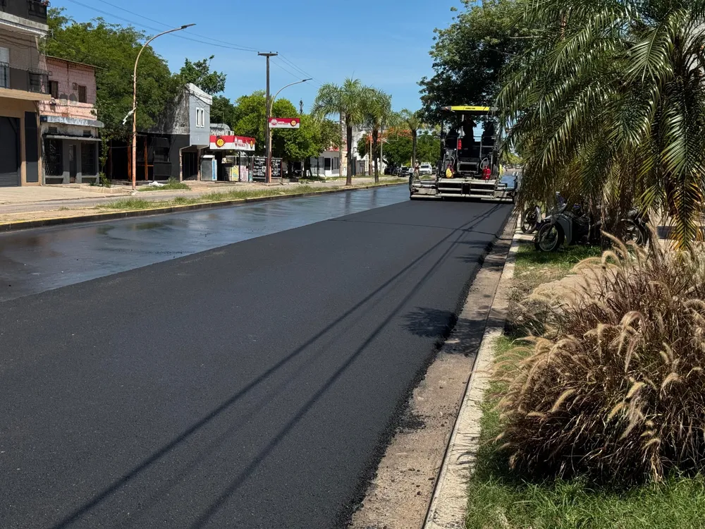 WhatsApp Image 2024-12-11 at 17.54.09