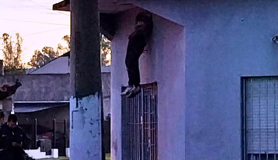 WhatsApp-Image-2023-07-03-at-09.51.52