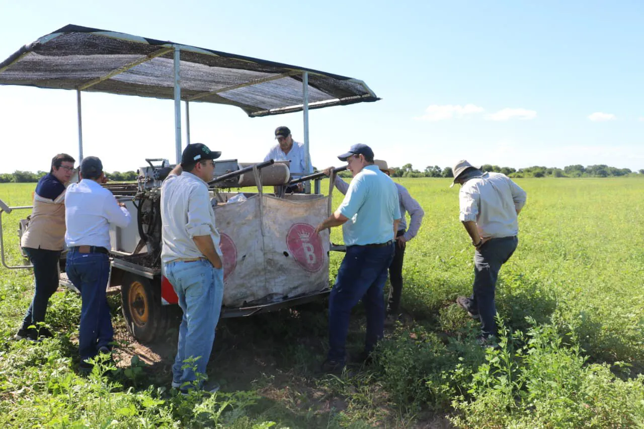 WhatsApp Image 2025-12-12 at 20.33.40