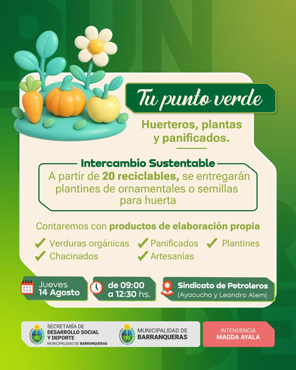 WhatsApp Image 2025-08-13 at 16.33.37