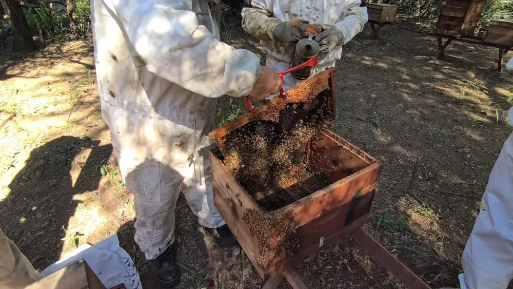 WhatsApp Image 2025-07-10 at 08.05.24