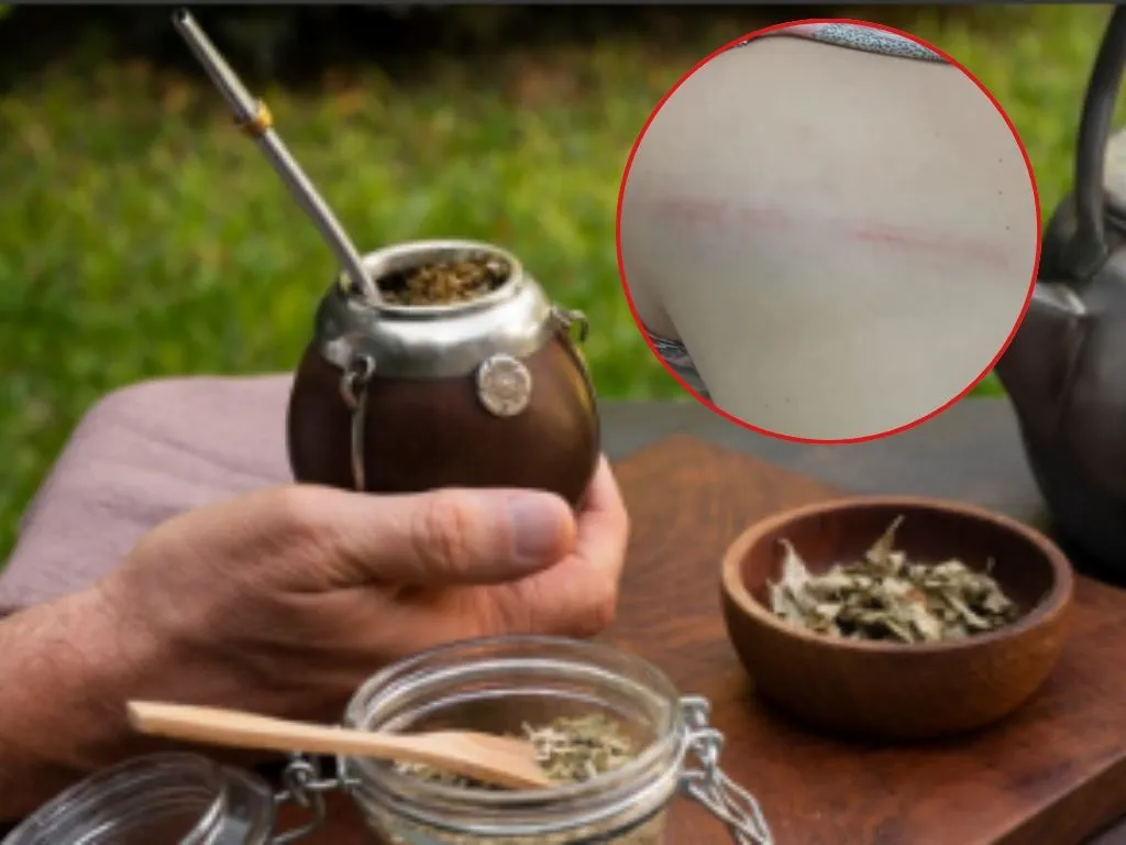 Presentación (43) (1)