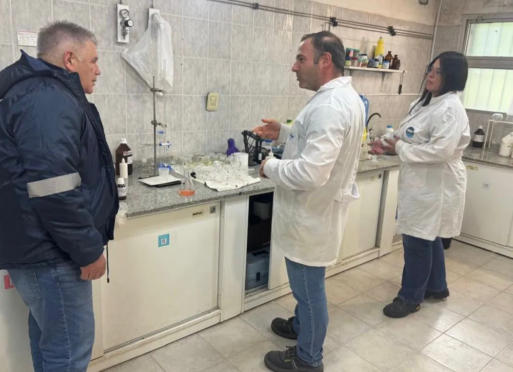 WhatsApp Image 2026-01-05 at 20.01.45