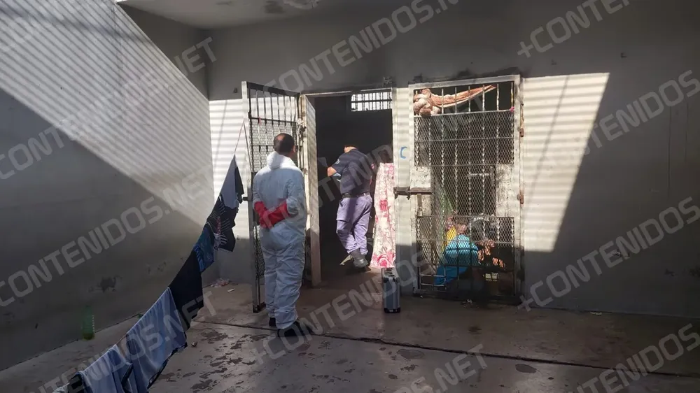 WhatsApp Image 2025-12-03 at 08.33.26