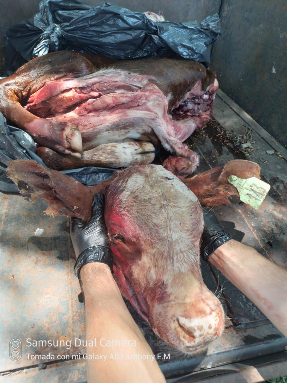 WhatsApp Image 2023-01-12 at 15.43.29