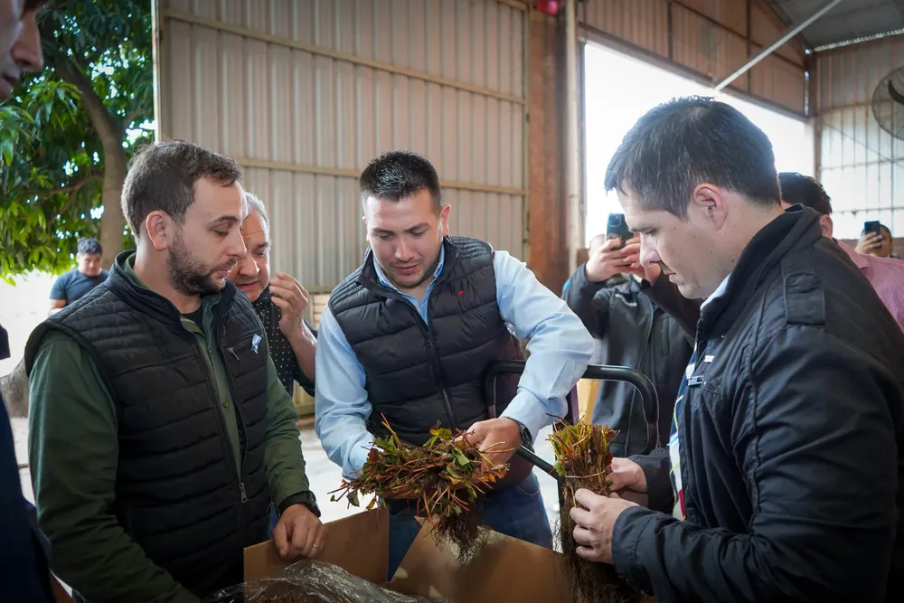 WhatsApp Image 2024-05-21 at 19.09.31