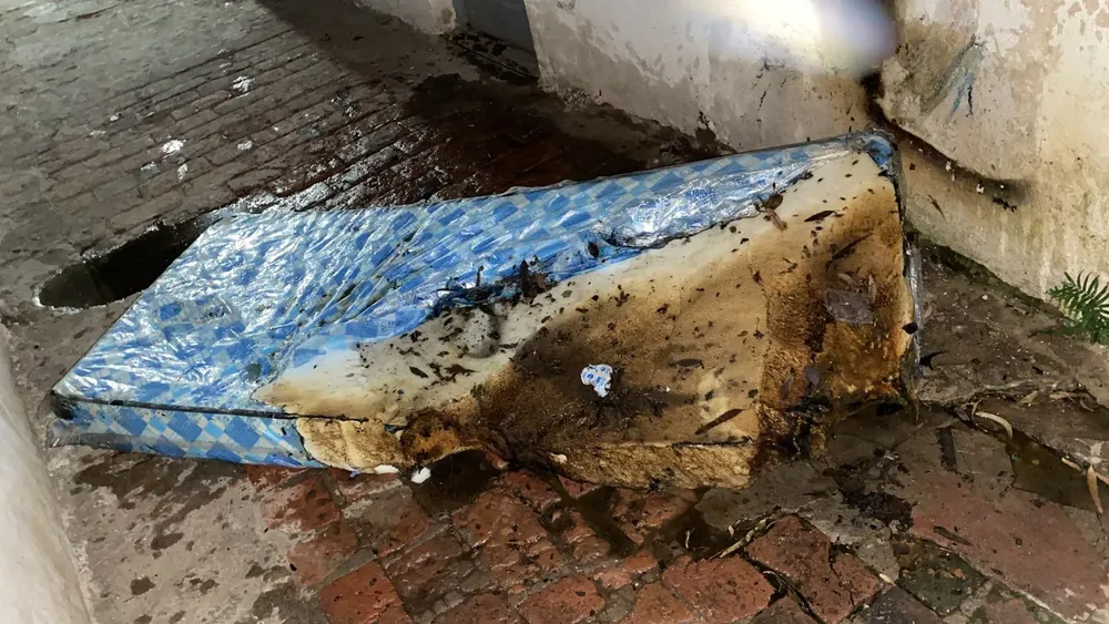 WhatsApp Image 2025-11-17 at 23.10.57