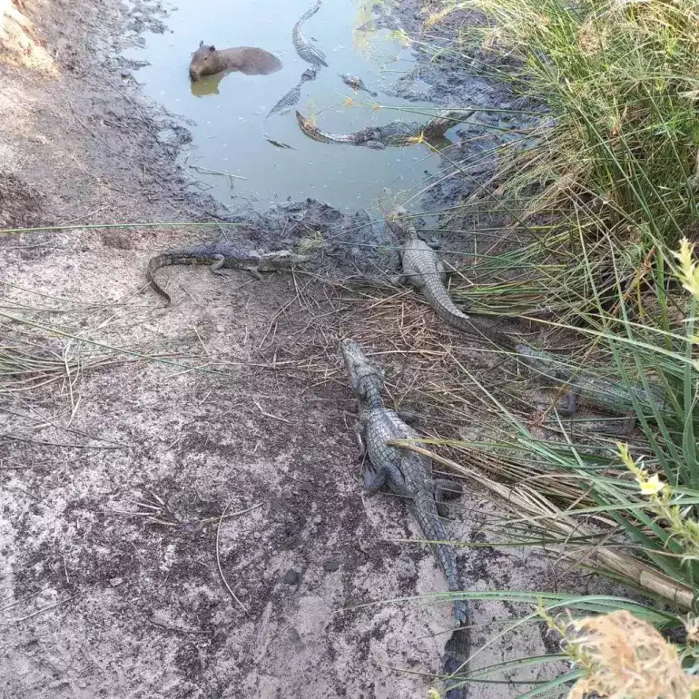 63dd63ae0653c340942140