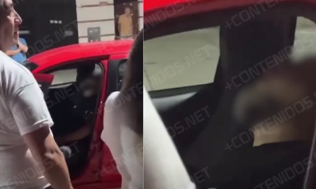 Presentación (43) (1)