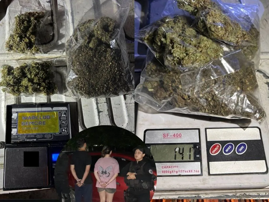 Presentación (43) (8)