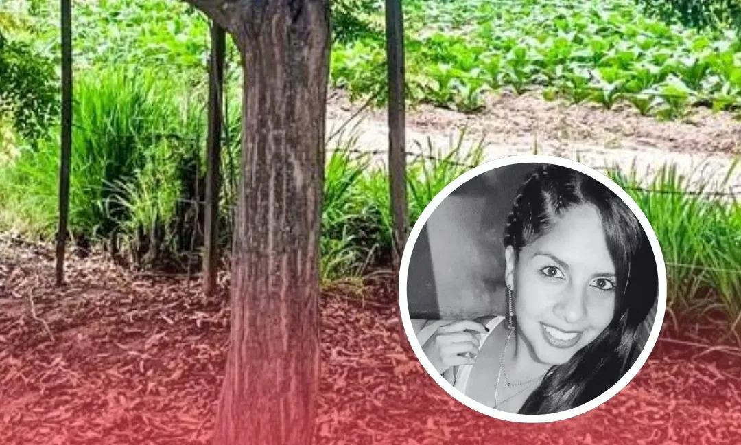 597502565_1295677859273098_3418393367517959315_n