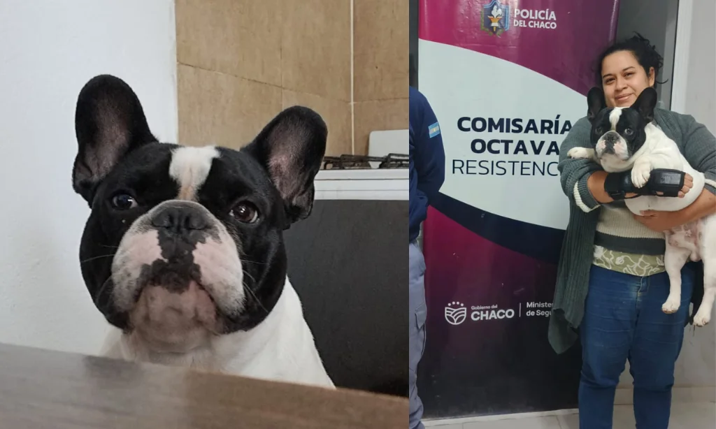 Presentación (43) (1)