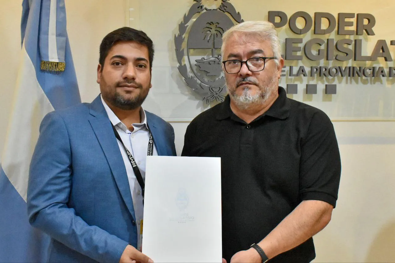 WhatsApp Image 2024-11-04 at 13.00.31