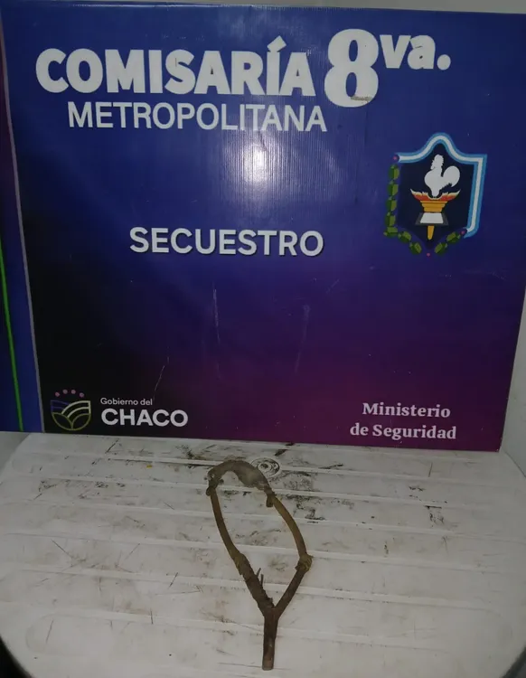 WhatsApp Image 2025-12-13 at 06.03.46