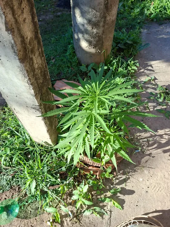 WhatsApp Image 2025-10-09 at 13.12.54