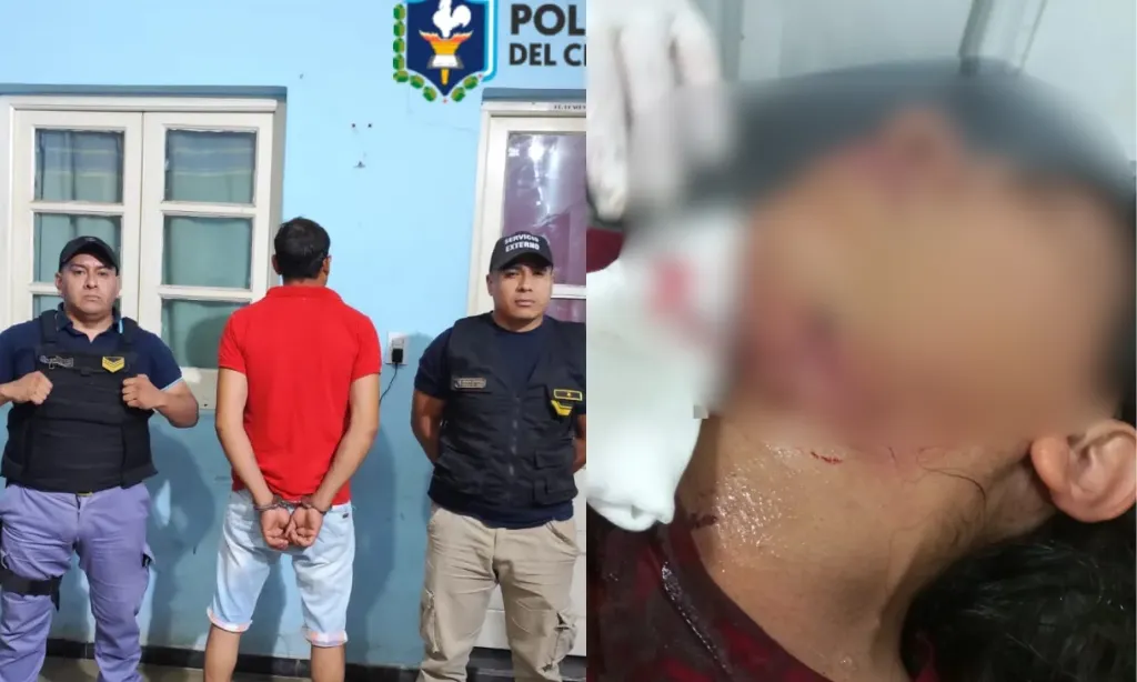 Presentación (43) (3)