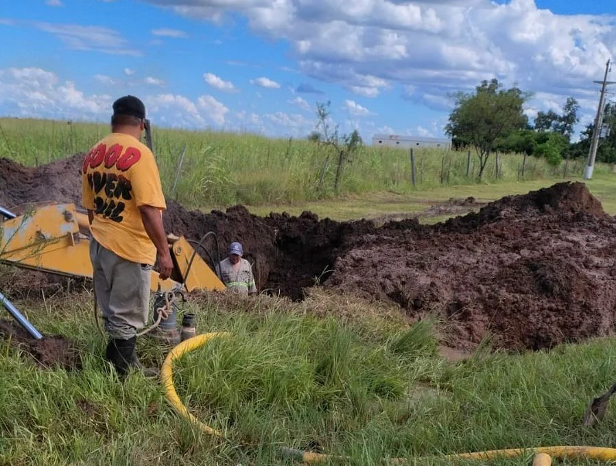 WhatsApp Image 2026-02-16 at 10.02.52