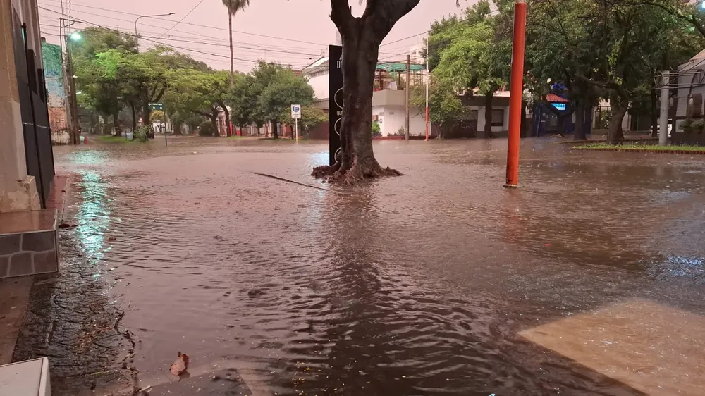 WhatsApp Image 2025-12-28 at 19.58.48 (1)