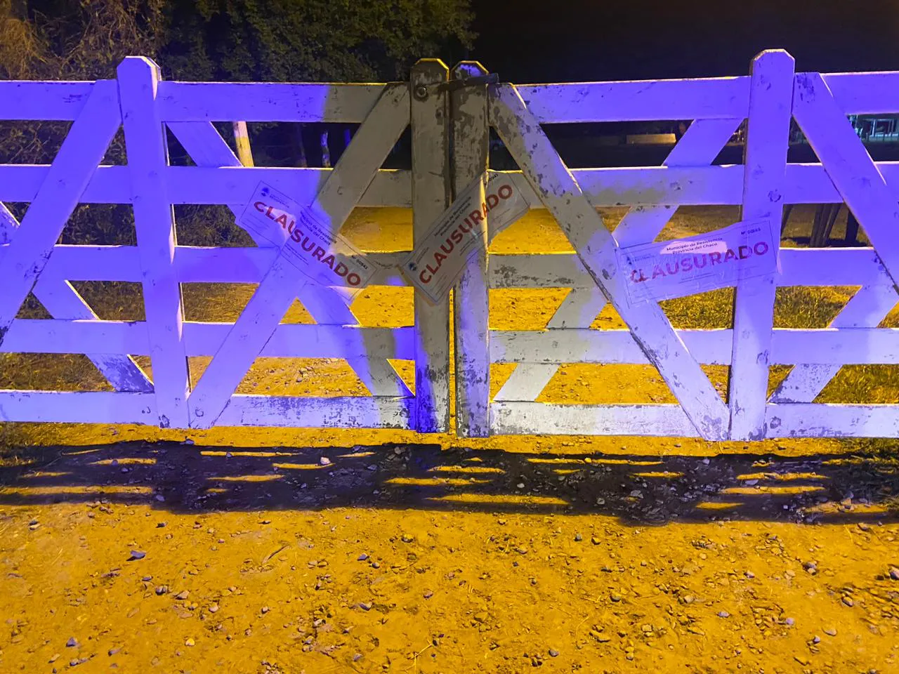 WhatsApp Image 2024-11-03 at 21.15.14