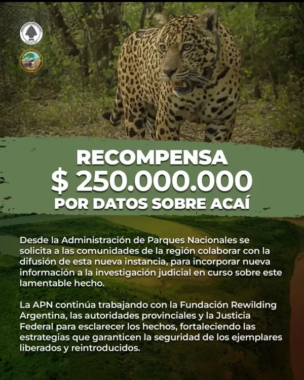 WhatsApp Image 2025-11-30 at 18.30.02