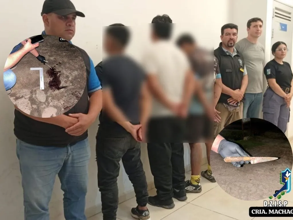 Presentación (43) (25)