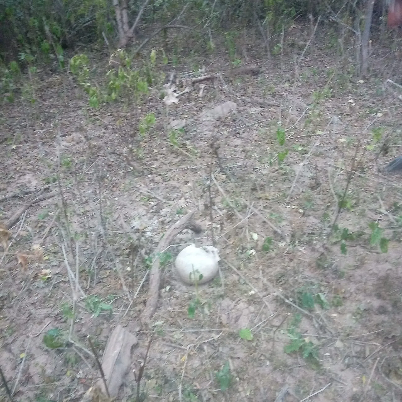 WhatsApp Image 2024-07-28 at 23.51.56 (1)