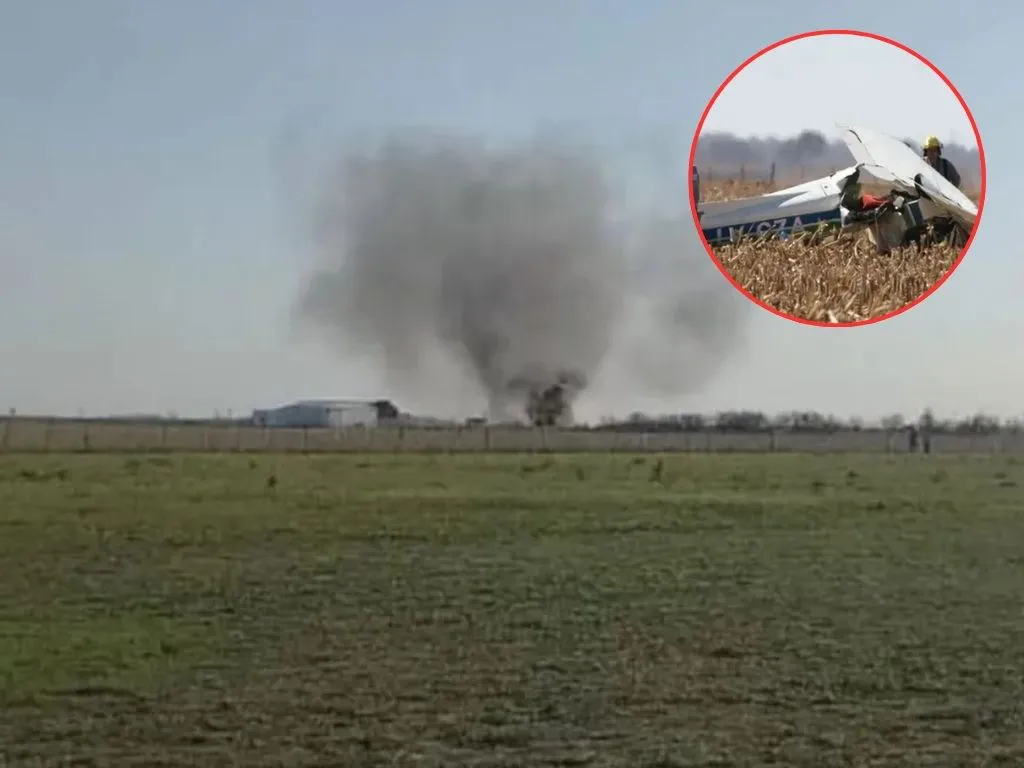 Presentación (43) (14)