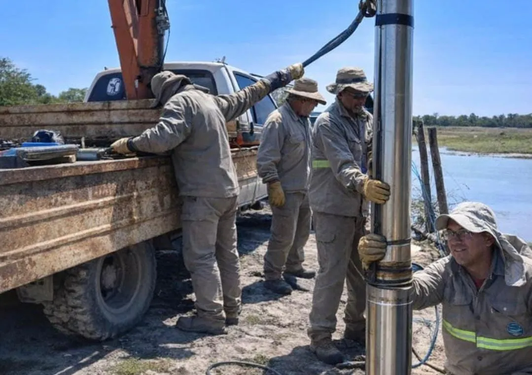 WhatsApp Image 2026-01-12 at 19.34.14