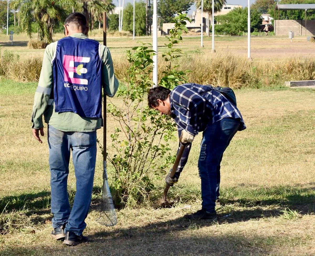 WhatsApp Image 2025-02-14 at 15.43.54