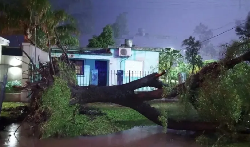 WhatsApp Image 2025-10-25 at 12.15.56 (3)