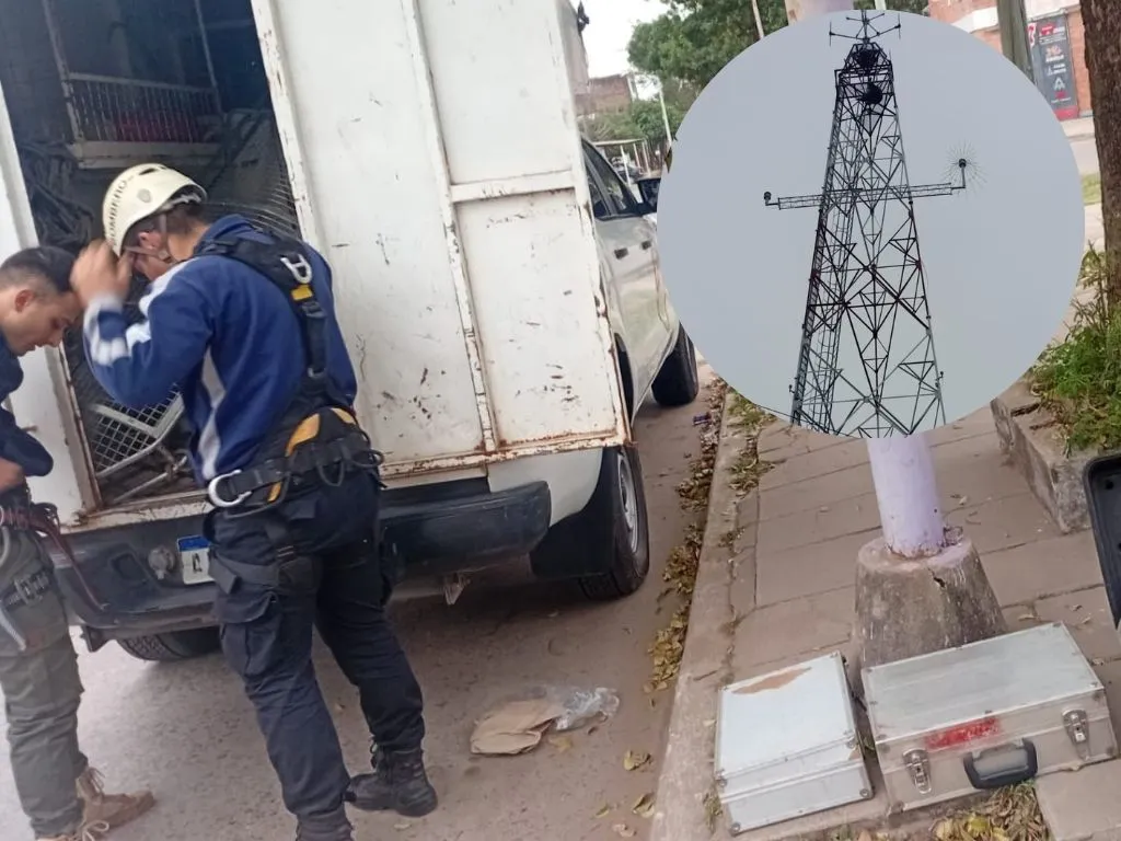 Presentación (43) (1)