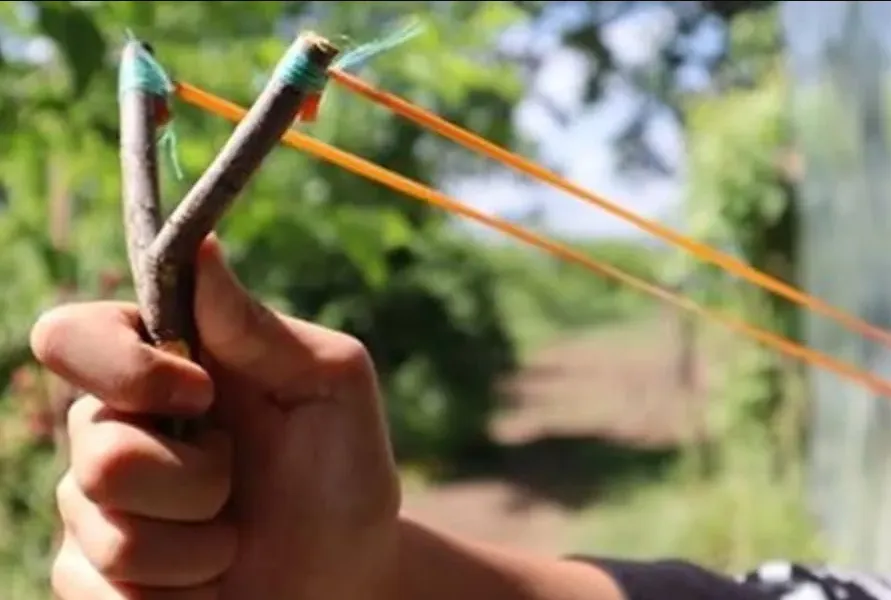 Captura de pantalla 2025-12-13 123836