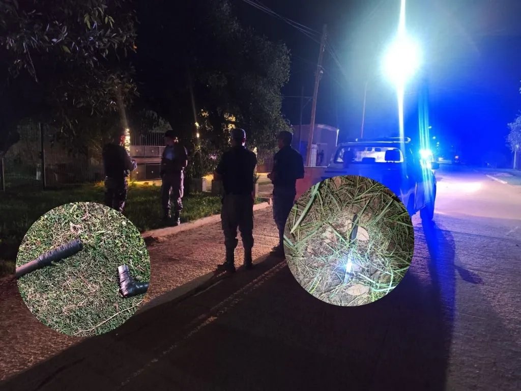 Presentación (43) (10)