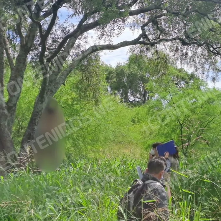 +CONT PLANTILLA SELLO