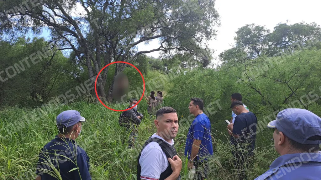 Presentación (43) (3)